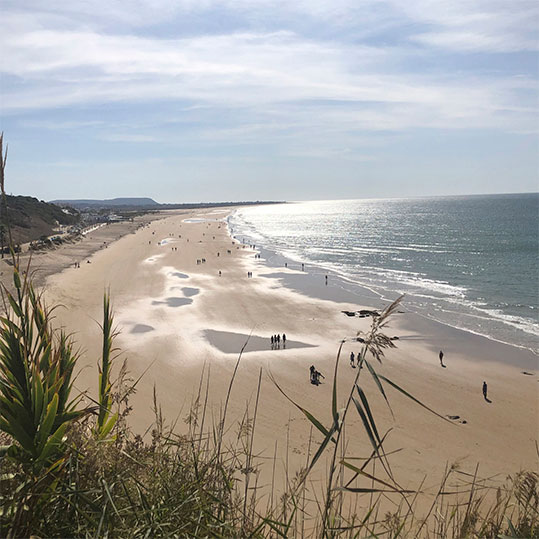 Playas de Conil  Guía de Cádiz